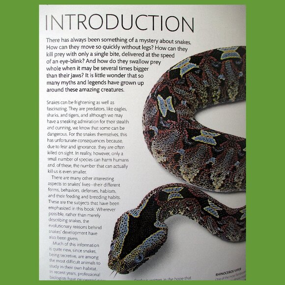 Book - Snake: The Essential Visual Guide by Chris Mattison - Picture 15 of 16
